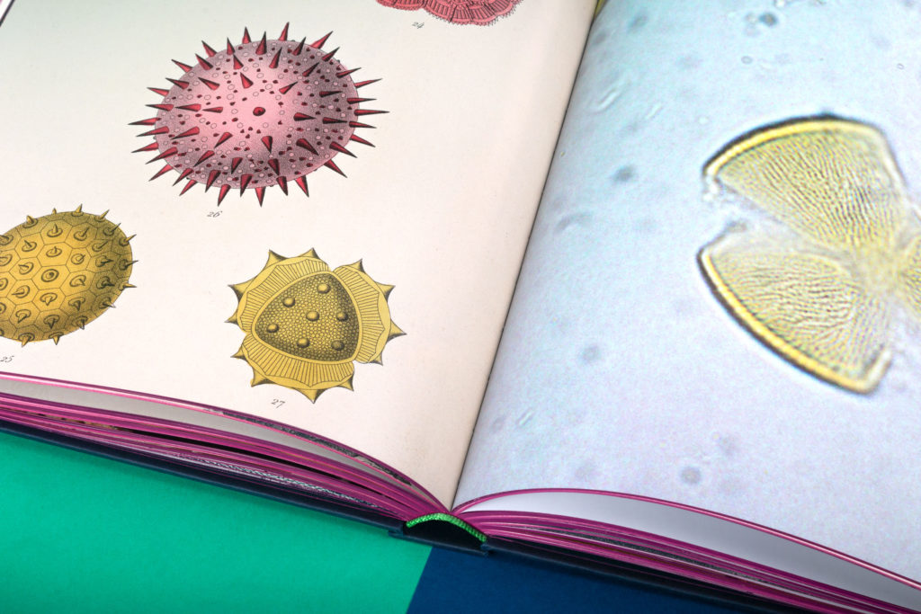 КО ЈЕ БИО ГЕЈ МОМАК У ЊЕМУ, ПОГЛАВЉЕ 2